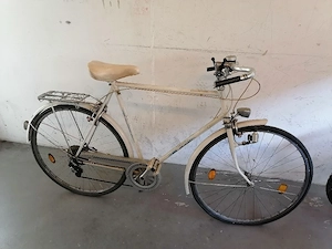 Fahrrad kostenlos Bild 2