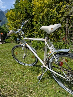 Schönes Vintage Fahrrad Bild 3