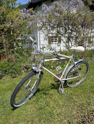 Schönes Vintage Fahrrad Bild 2