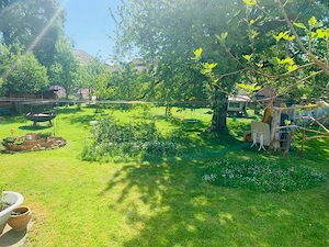 3 Zimmerwohnung  Bild 4