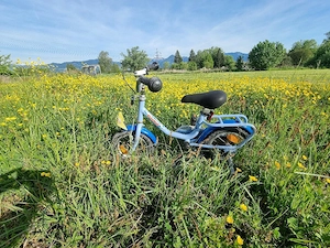 Fahrrad Kinder
