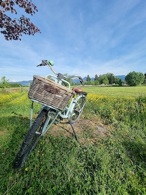 Himmelblaues Fahrrad  Bild 4
