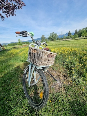 Himmelblaues Fahrrad  Bild 5