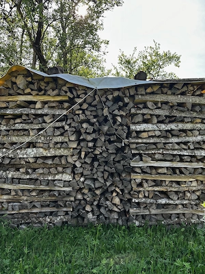 Klostertaler Brennholz hart & weich, luftgetrocknet Bild 2