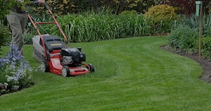 Garten und Pflaster Arbeiten Bild 3