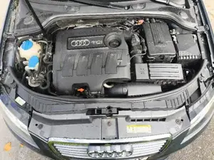 Audi A3 Bild 5