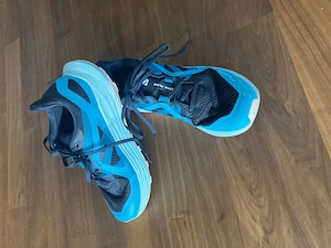 Trail- Wanderschuhe Salomon Ultra Flow, Gr 40