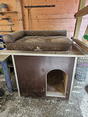 Hundehütte samt Hundebett  Bild 3