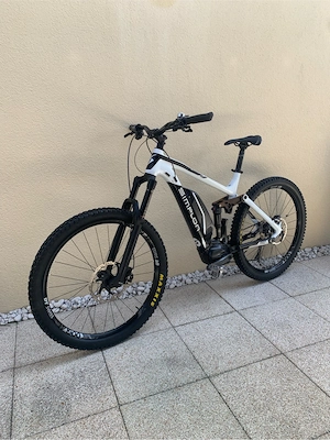 Simplon E Bike (Rahmenbruch)