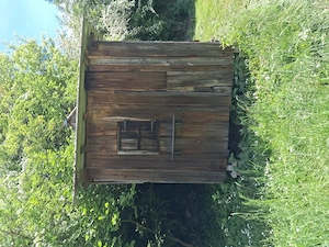 Bienenhaus zu verschenken Bild 2