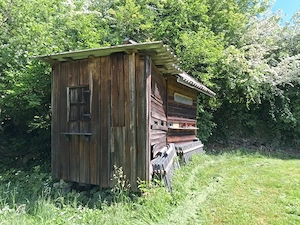 Bienenhaus zu verschenken Bild 3