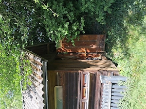 Bienenhaus zu verschenken Bild 5