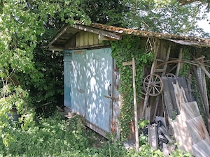 Stall zu verschenken Bild 2