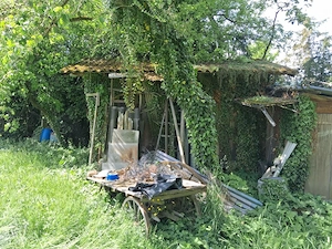 Stall zu verschenken Bild 4
