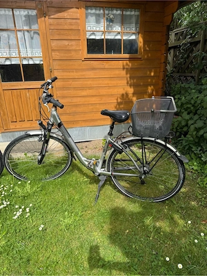 Damenfahrrad Simplon