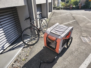 Fahrrad mit Anhänger Bild 2