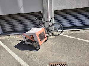 Fahrrad mit Anhänger Bild 3