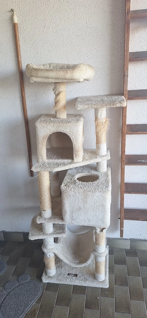 Katzenbaum