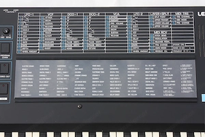 Crumar BIT 99 polyphoner Analog-Synthesizer Bild 9