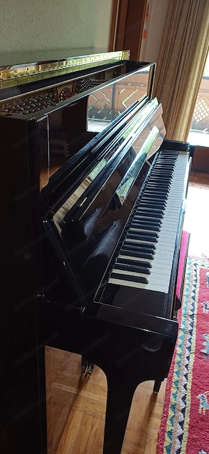 Klavier Schimmel Spezial Bild 4