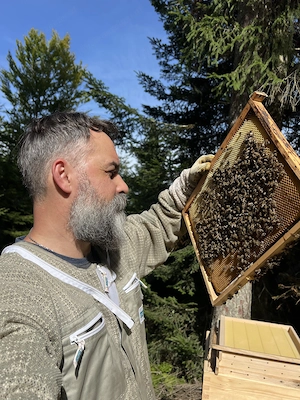 Platz für Bienenstöcke im Völs oder Umgebung gesucht Bild 2