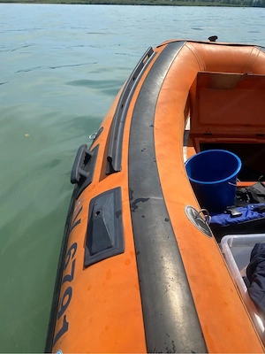 Pischel Bolero Hartschalenschlauchboot-Schiff-Boot-Motorboot-Honda Bild 4