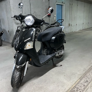 Beeline Memory 50 Moped Mofa  Bild 2