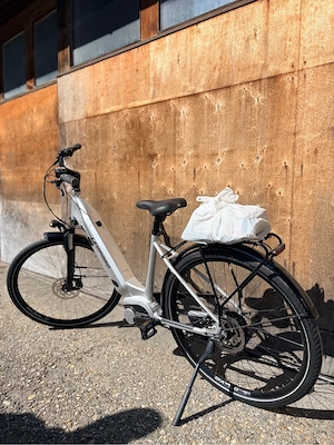 E bike Leopard Bild 3