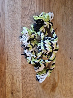 Hundespielzeug 4 Stück Bild 4