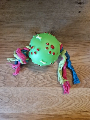 Hundespielzeug 4 Stück Bild 3