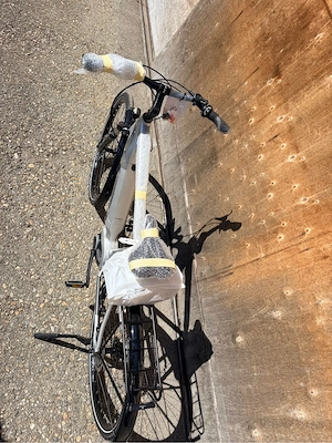 E Bike- Leopard Bild 5
