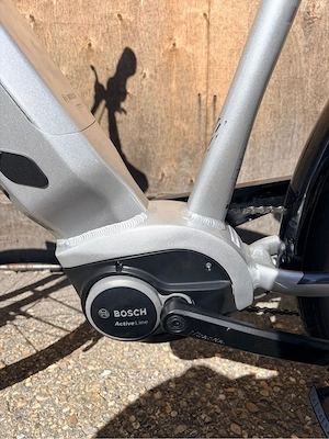 E Bike- Leopard Bild 3