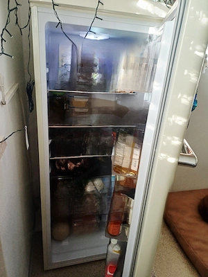 Kühlschrank im Retrostil Bild 2