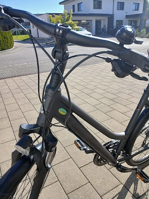 Damenfahrrad Raleigh Bild 4