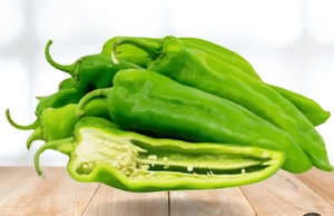 Paprika Setzlinge  Bild 2