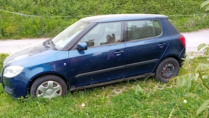 Skoda Fabia Verkauf Benziner Bild 4