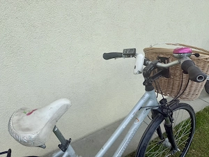 Damen E-Bike zu verkaufen Bild 3