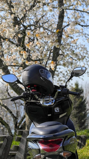 Honda PCX 125 cm3 Motorrad Roller 2012  Bild 2