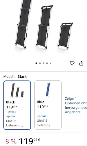 Rampe Hund Auto Alu Teleskop Bild 2