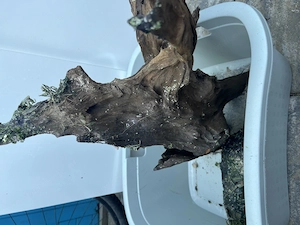 200liter Aquarium  Bild 3
