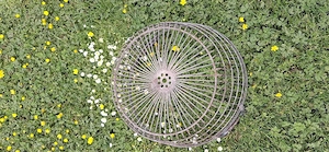 Alter Kartoffel Erntekorb Bild 3