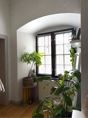 VERMIETE sehr helle 2 ZI WOHNUNG   Feldkirch Zentrum ab 1. September 2026 Bild 6