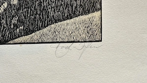 Julius Heilenmann Originale Holzstiche signierte Mappe "6 Landschaften" Bild 13