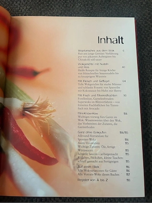 Wok blitzschnell und leicht Bild 3
