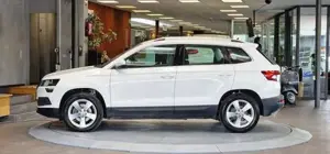Skoda Karoq Bild 4