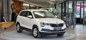 Skoda Karoq Bild 3