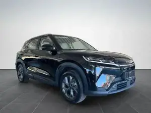 BYD Atto 2  Bild 2