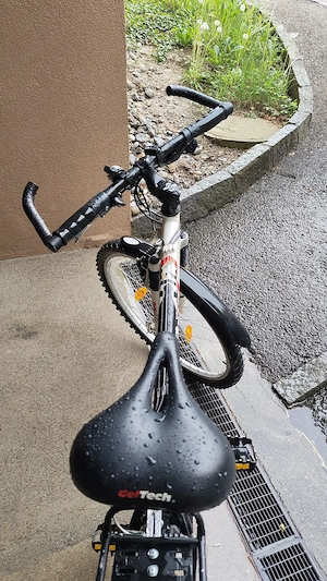 Fahrrad Damen Bild 2