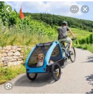 Verkaufe Hundefahrrad Anhänger  Bild 5