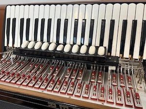 Hohner Morino VN Bild 2